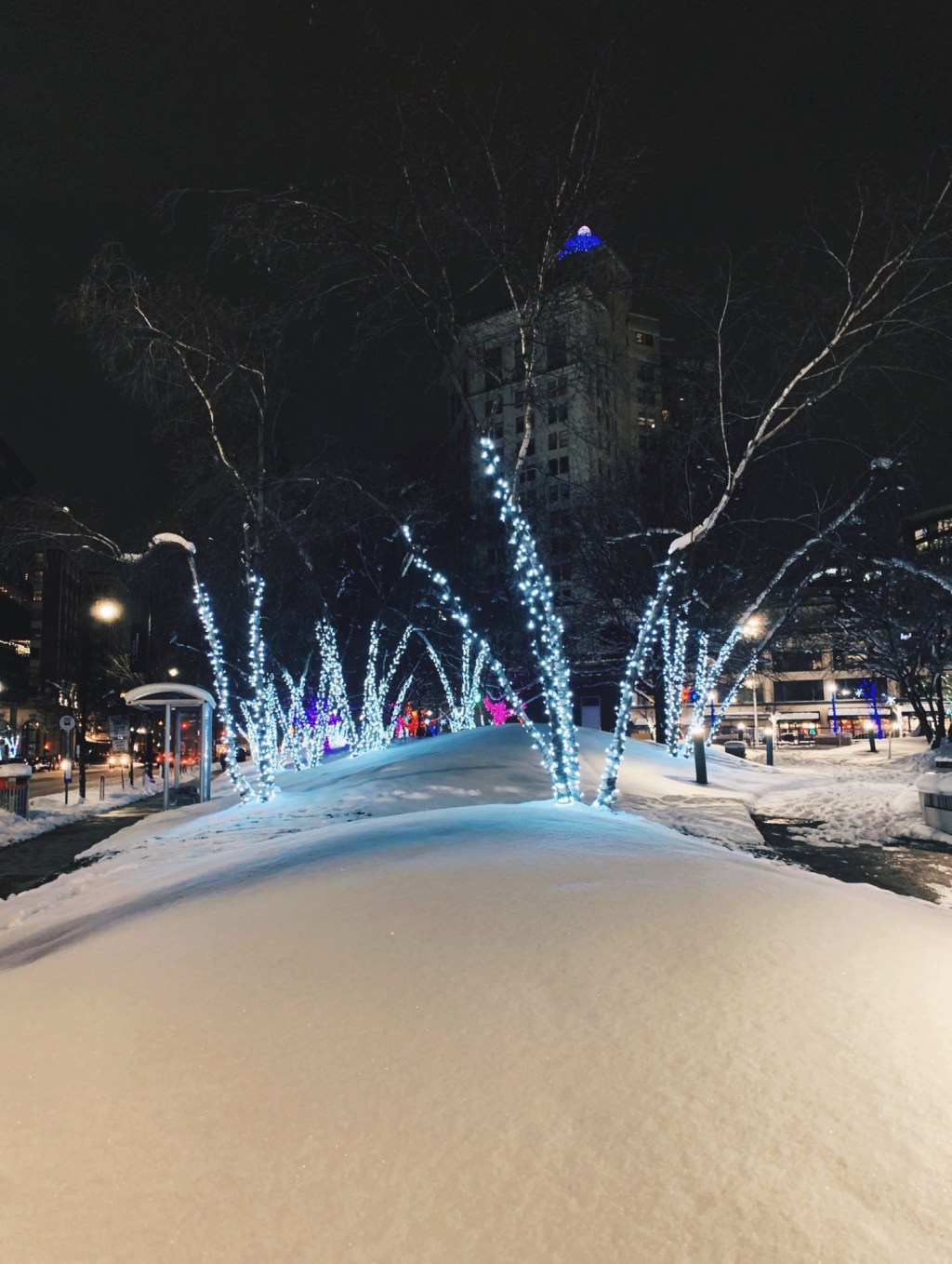 My First Art&nbsp;Museum